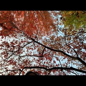 Meet your Posher, Gabriela